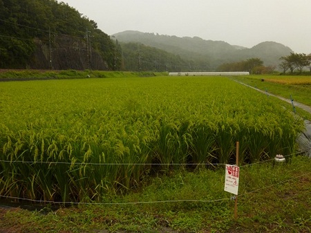 P1030564.JPG