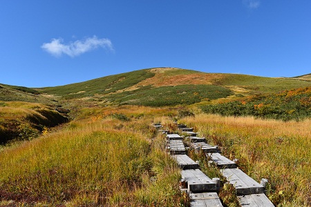 DSC_1101.JPG