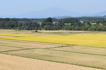 DSC_1278.JPG