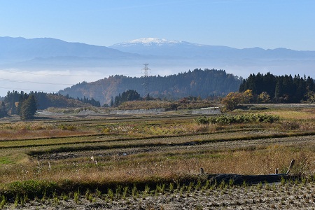 DSC_1325 - コピー.JPG