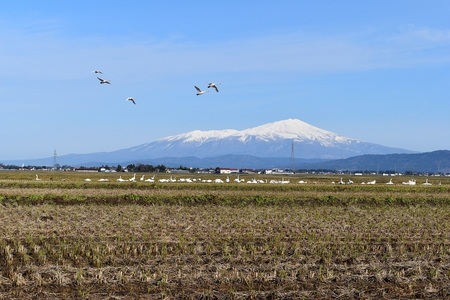 DSC_1441 - コピー (3).JPG