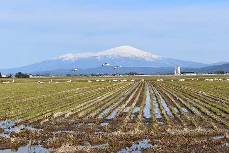 DSC_1472 - コピー.JPG