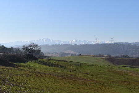 DSC_1498 - コピー.JPG