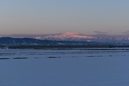 DSC_1812 - コピー.JPG