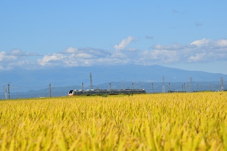 DSC_1821 - コピー.JPG