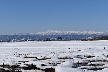 DSC_1831 - コピー.JPG