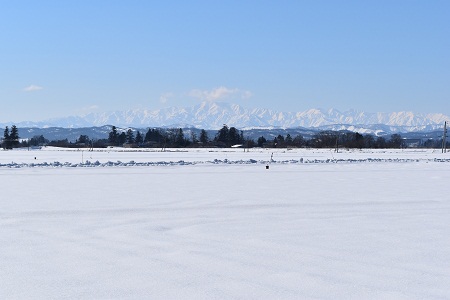 DSC_1862 - コピー.JPG