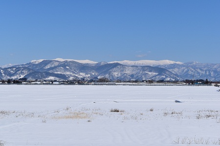 DSC_1875 - コピー.JPG