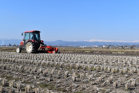 DSC_1918 - コピー.JPG