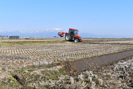 DSC_1921 - コピー.JPG