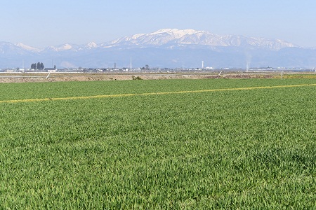 DSC_1929 - コピー.JPG