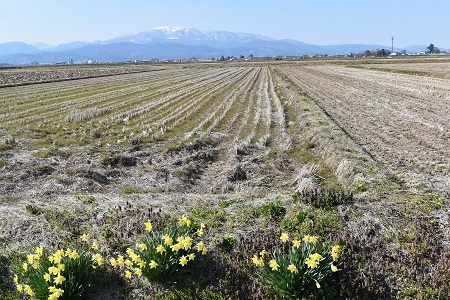 DSC_1966 - コピー.JPG