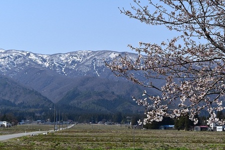 DSC_1979 - コピー - コピー (2).JPG