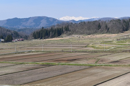 DSC_2062 - コピー.JPG