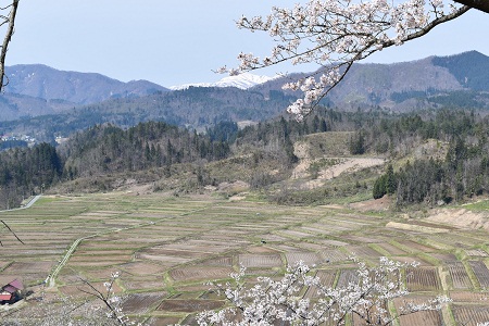 DSC_2067 - コピー.JPG