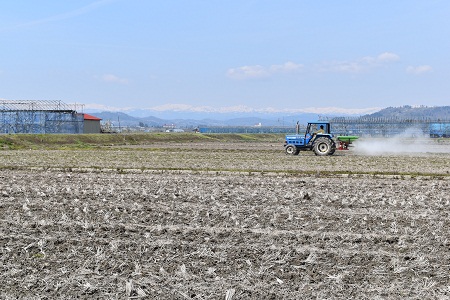 DSC_2093 - コピー.JPG