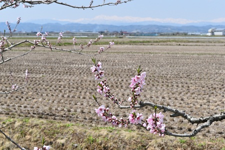 DSC_2101 - コピー.JPG