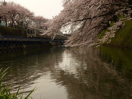 P1030777 - コピー.JPG