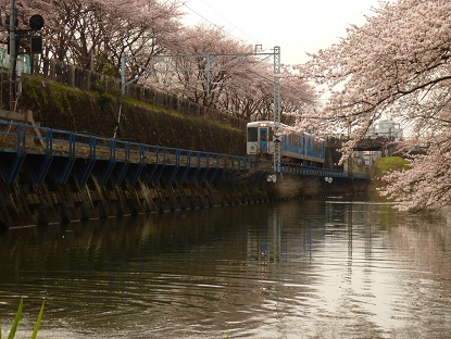 P1030778 - コピー.JPG