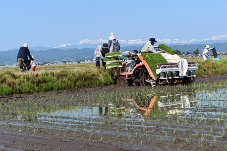 DSC_0021 - コピー.JPG