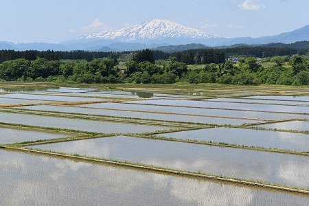 DSC_0038 - コピー.JPG