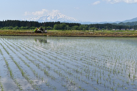 DSC_0051 - コピー.JPG