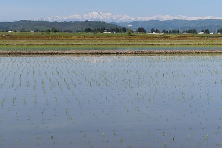 DSC_2183 - コピー.JPG