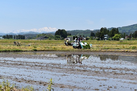 DSC_2204 - コピー.JPG