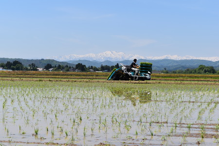 DSC_2214 - コピー.JPG