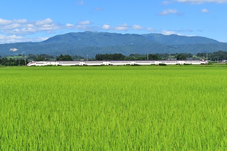 DSC_0271 - コピー.JPG