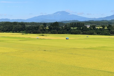 DSC_0469 - コピー.JPG