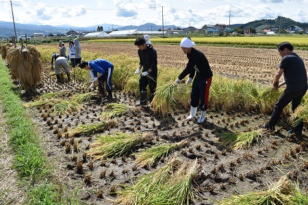 DSC_0520 - コピー.JPG