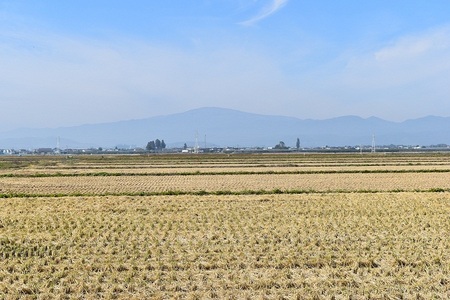 DSC_0728 - コピー.JPG