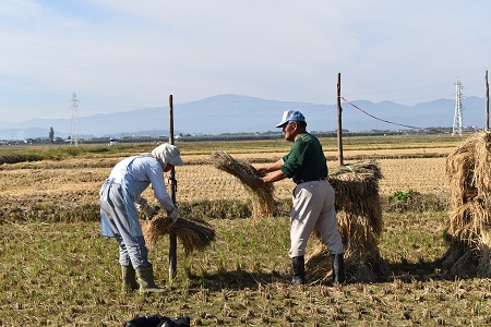 DSC_0745 - コピー.JPG