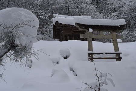 DSC_1269 - コピー.JPG