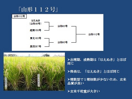 山形112号.jpg