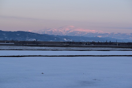 DSC_1389 - コピー.JPG
