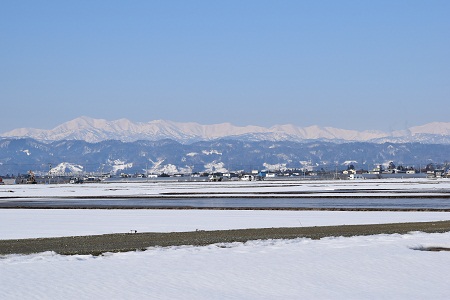 DSC_1413 - コピー.JPG