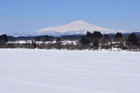 DSC_1416 - コピー.JPG