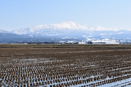 DSC_1441 - コピー.JPG
