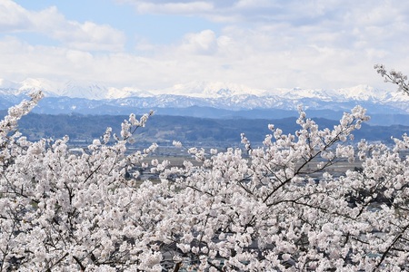 DSC_1586 - コピー.JPG