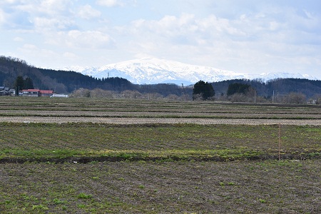 DSC_1648 - コピー.JPG