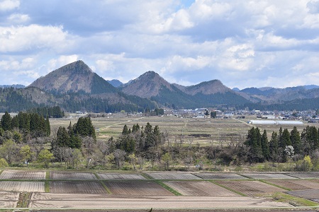 DSC_1660 - コピー.JPG