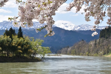 DSC_1687 - コピー.JPG