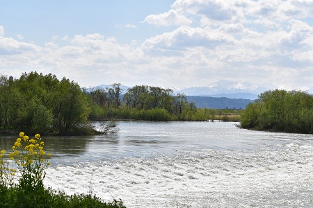 DSC_1691 - コピー.JPG