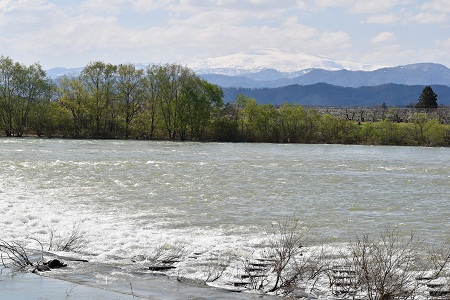 DSC_1695 - コピー.JPG