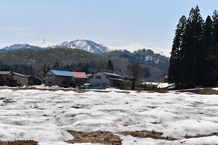 DSC_1745 - コピー.JPG