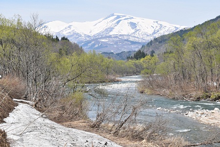 DSC_1762 - コピー.JPG