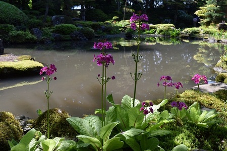 DSC_1906 - コピー.JPG