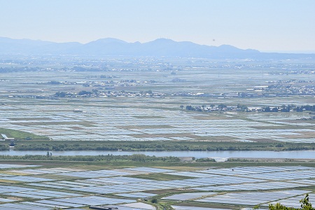 DSC_1948 - コピー.JPG